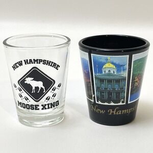New Hampshire Shot Glass Set Of 2 Glasses State Souvenir Moose X-ing Scenic View